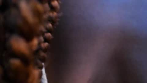 Snapshot of halleylorens chatting on November 2025 07:15:01 PM Halley Lorens online show from November 2025 07:15:01 PM