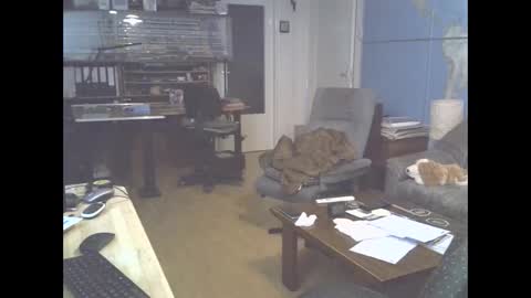 Prefer men 80 online show from December 2024 04:07:02 PM