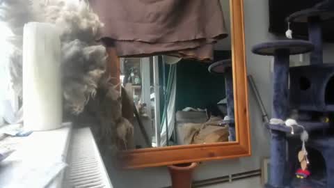 Snapshot of handncocknocum chatting on December 2024 08:44:02 AM handncocknocum online show from December 2024 08:44:02 AM