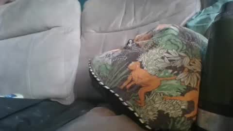 handncocknocum online show from January 2026 08:51:02 AM