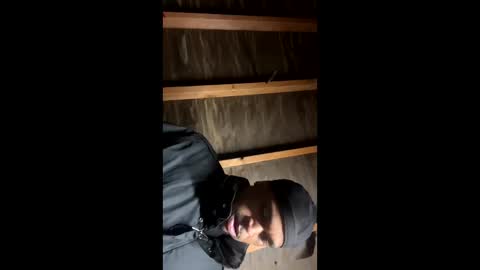 Snapshot of handsomeda1 chatting on January 2025 06:31:02 AM handsomeda1 online show from January 2025 06:31:02 AM