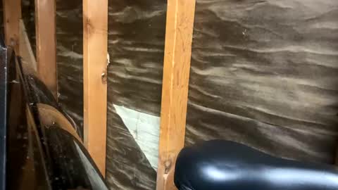 Snapshot of handsomeda1 chatting on February 2025 02:47:02 AM handsomeda1 online show from February 2025 02:47:02 AM