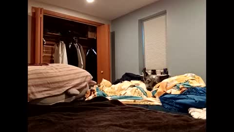 handsomedaddy198923 online show from October 2025 07:36:02 PM