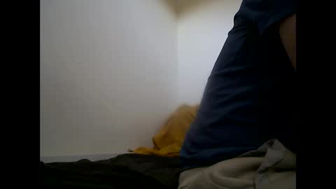 Snapshot of handsomepenis20cm chatting on April 2026 04:22:01 PM handsomepenis20cm online show from April 2026 04:22:01 PM