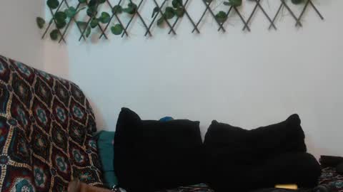 SARA  online show from January 2025 04:00:01 AM