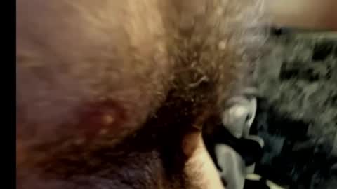 harry_banana online show from February 2025 10:40:02 PM