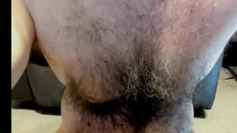 harry_banana online show from February 2025 11:43:01 AM