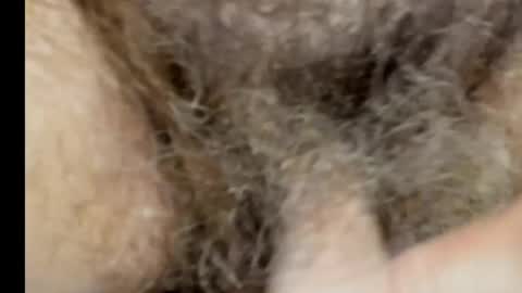 harry_banana online show from March 2025 11:40:02 AM