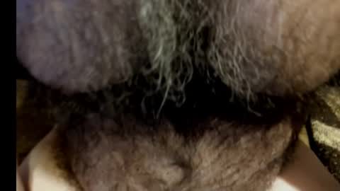 harry_banana online show from March 2025 08:55:01 AM