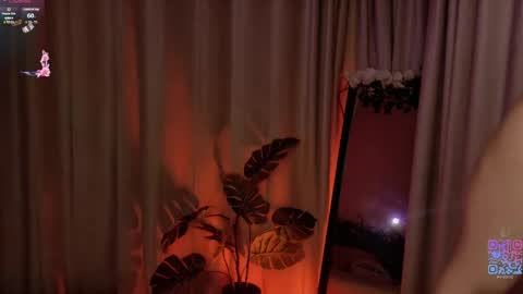 hazelhayess online show from May 2026 03:51:02 PM