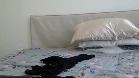 Snapshot of heatwavee chatting on February 2025 08:08:02 PM heatwavee online show from February 2025 08:08:02 PM