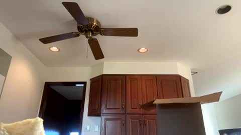 Snapshot of heatwavee chatting on November 2025 12:59:02 PM heatwavee online show from November 2025 12:59:02 PM