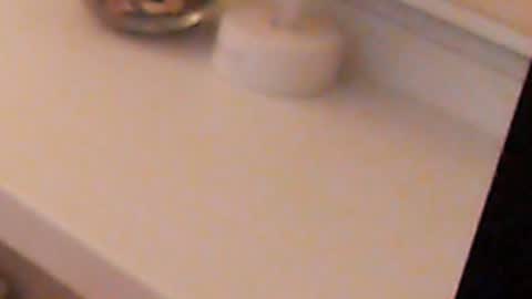 Heaven girl online show from December 2024 11:29:02 PM