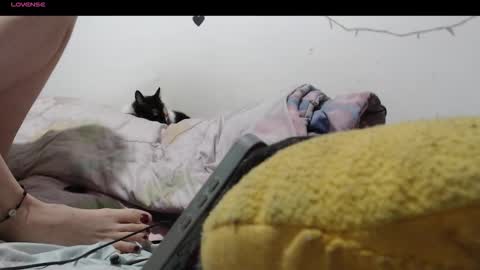 Snapshot of hecatedark122 chatting on December 2025 01:48:02 AM sofia online show from December 2025 01:48:02 AM