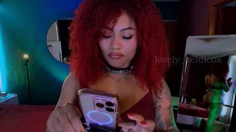 Snapshot of heidicox chatting on November 2025 07:41:02 PM Heidi online show from November 2025 07:41:02 PM