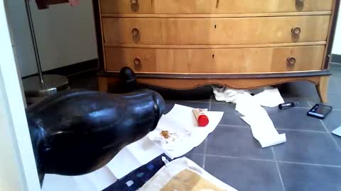 helisporty online show from November 2025 08:13:02 AM