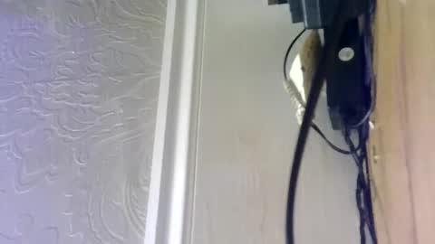 hellobunbunx0 online show from December 2024 04:43:01 PM