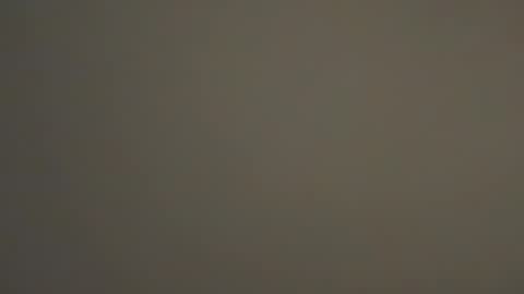 hellohowareyou66 online show from January 2025 04:01:01 AM