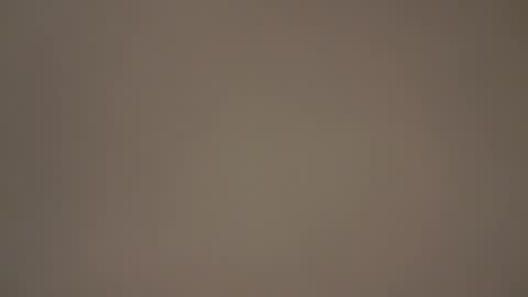 hellohowareyou66 online show from March 2025 04:57:02 PM