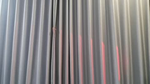 Aran online show from December 2025 08:00:02 AM