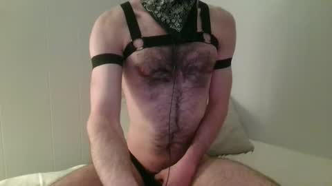 Snapshot of hex_otter chatting on March 2026 05:20:02 AM Hector or Hex for short online show from March 2026 05:20:02 AM