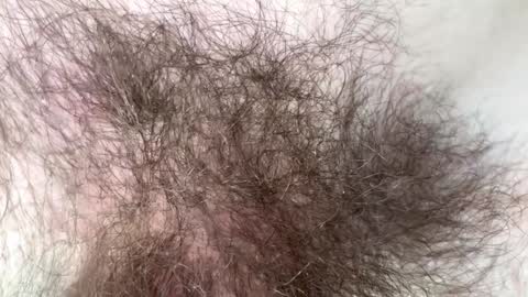 Arnold online show from February 2025 09:15:02 PM