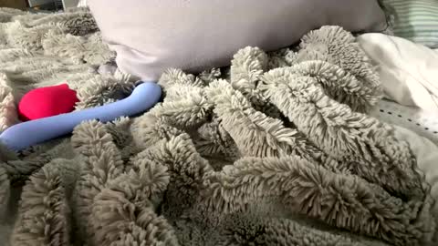 Snapshot of hibye5729 chatting on June 2026 08:21:02 PM Bondage blondiie online show from June 2026 08:21:02 PM