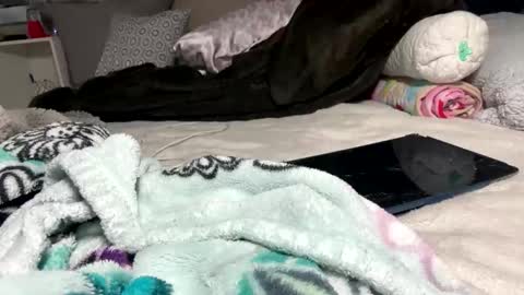 Snapshot of hibye5729 chatting on June 2026 04:30:02 AM Bondage blondiie online show from June 2026 04:30:02 AM