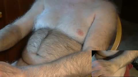 higgins11 online show from December 2024 12:44:02 AM