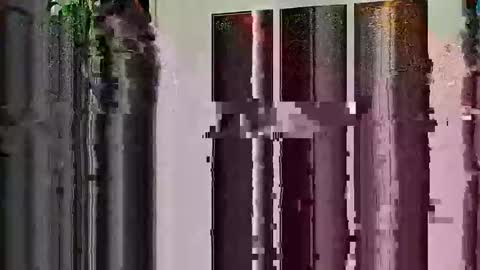 Snapshot of highandhell chatting on February 2026 12:50:02 AM Highandhell online show from February 2026 12:50:02 AM