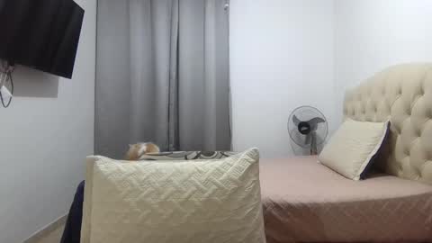 Hi moreno online show from November 2025 02:14:02 AM