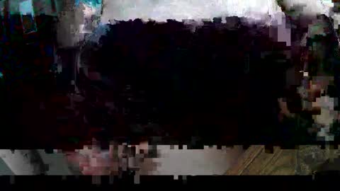 Snapshot of hippibob1 chatting on February 2025 04:36:02 PM Bob online show from February 2025 04:36:02 PM