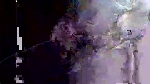 Snapshot of hippibob1 chatting on June 2026 02:11:01 PM Bob online show from June 2026 02:11:01 PM