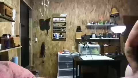 Snapshot of hippostixs chatting on October 2025 07:08:01 AM Krush Vibrations online show from October 2025 07:08:01 AM