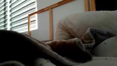 Snapshot of hnkkk88888 chatting on November 2025 12:17:01 PM Fucker online show from November 2025 12:17:01 PM