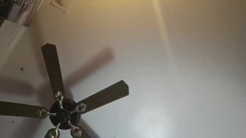 hoglegg99384194 online show from November 2025 11:01:02 AM