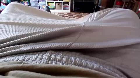 Snapshot of holycannoli123 chatting on October 2025 01:22:01 PM holycannoli123 online show from October 2025 01:22:01 PM