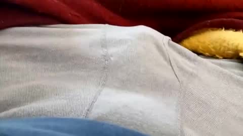 Snapshot of holycannoli123 chatting on February 2026 03:49:02 PM holycannoli123 online show from February 2026 03:49:02 PM