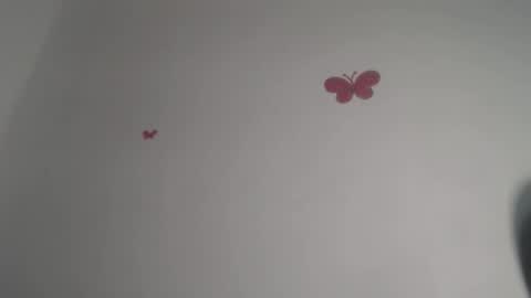 Iris online show from November 2025 07:40:03 PM