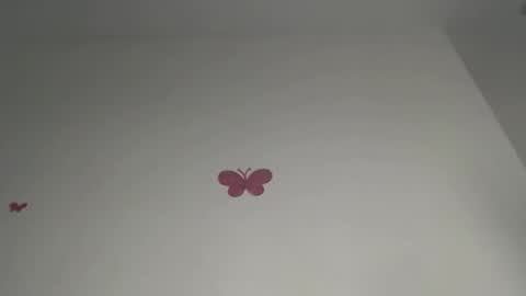 Iris online show from February 2026 07:48:01 PM