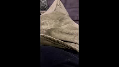 hornybear420420420 online show from March 2026 11:34:01 PM