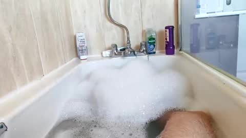 Snapshot of hornybiker1987 chatting on November 2025 12:05:01 PM hornybiker1987 online show from November 2025 12:05:01 PM