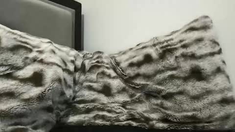 Snapshot of hornycumsh0t chatting on November 2025 01:40:02 AM cumsh0tking online show from November 2025 01:40:02 AM