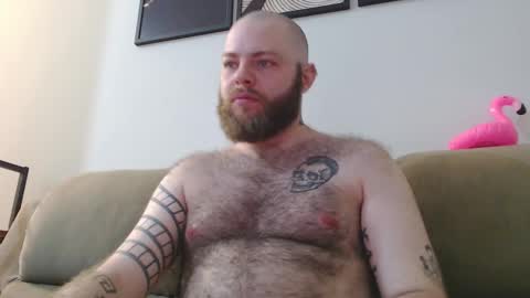Snapshot of hornyhairy_bi chatting on October 2025 10:52:01 PM Harry online show from October 2025 10:52:01 PM