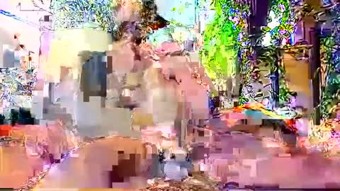 hornyhotgy27 online show from December 2024 09:46:01 PM