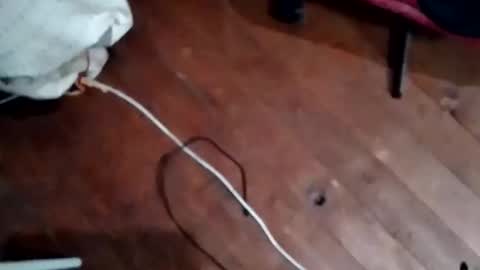 hornypaul84 online show from November 2025 07:47:01 PM