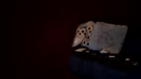 hornypaul84 online show from January 2026 01:19:01 AM