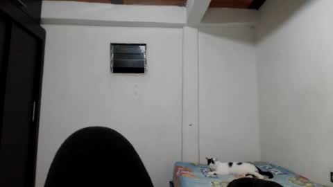 angels online show from November 2025 05:40:01 AM