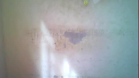 Coco online show from November 2025 08:16:02 AM