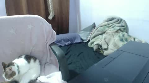 Hot and PowerHOPE U MISS ME online show from November 2025 03:49:02 AM